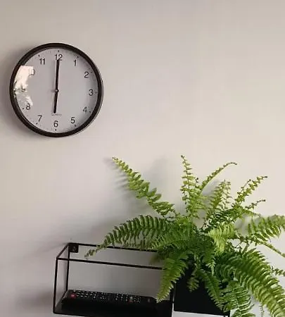 Ruzica 2 Apartment